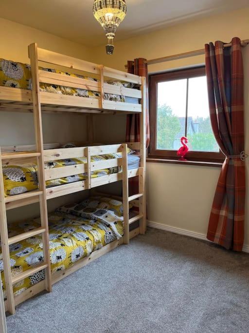 Apartment Lovely 2 Bedroom Family In Newcastle